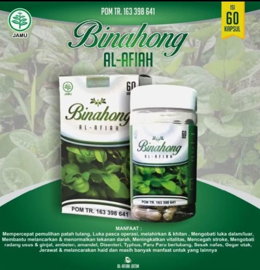 Jual Kapsul Binahong di Denpasar Bali
