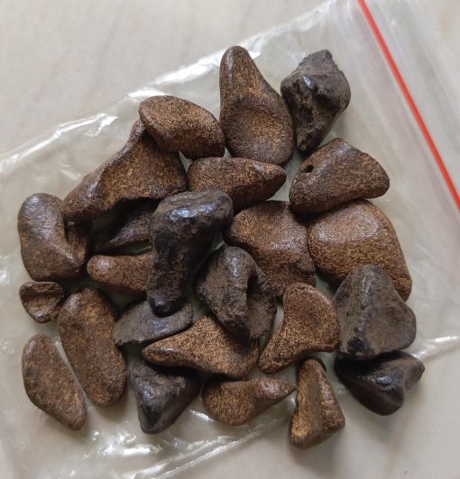 Jual Kayu Gaharu Asli di Denpasar Bali