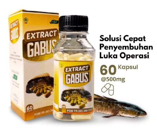 Jual Kapsul Ekstrak Ikan Gabus di Denpasar Bali