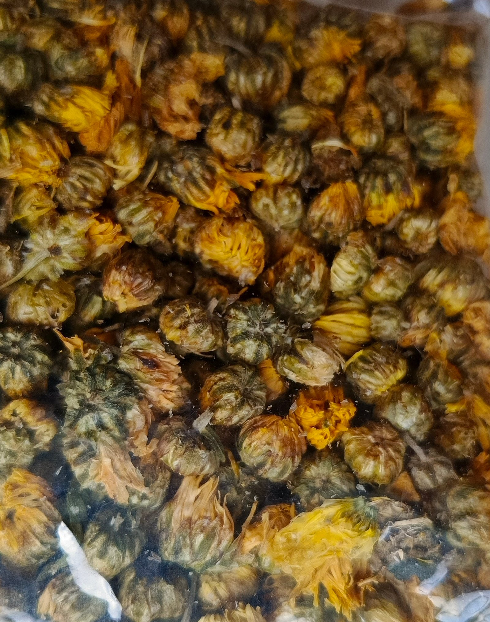 Jual Teh baby Chrysanthemum flower tea 10gr di Denpasar Bali
