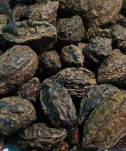 Jual Mojokeling Biji (500gram) di Denpasar Bali